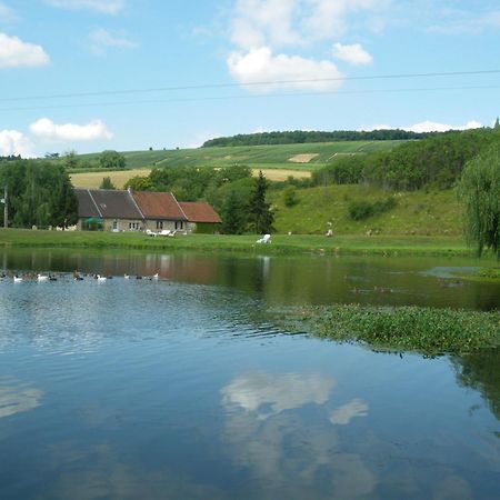 Domaine Du Moulin De L'Etang Bed & Breakfast Châtillon-sur-Marne Exterior photo