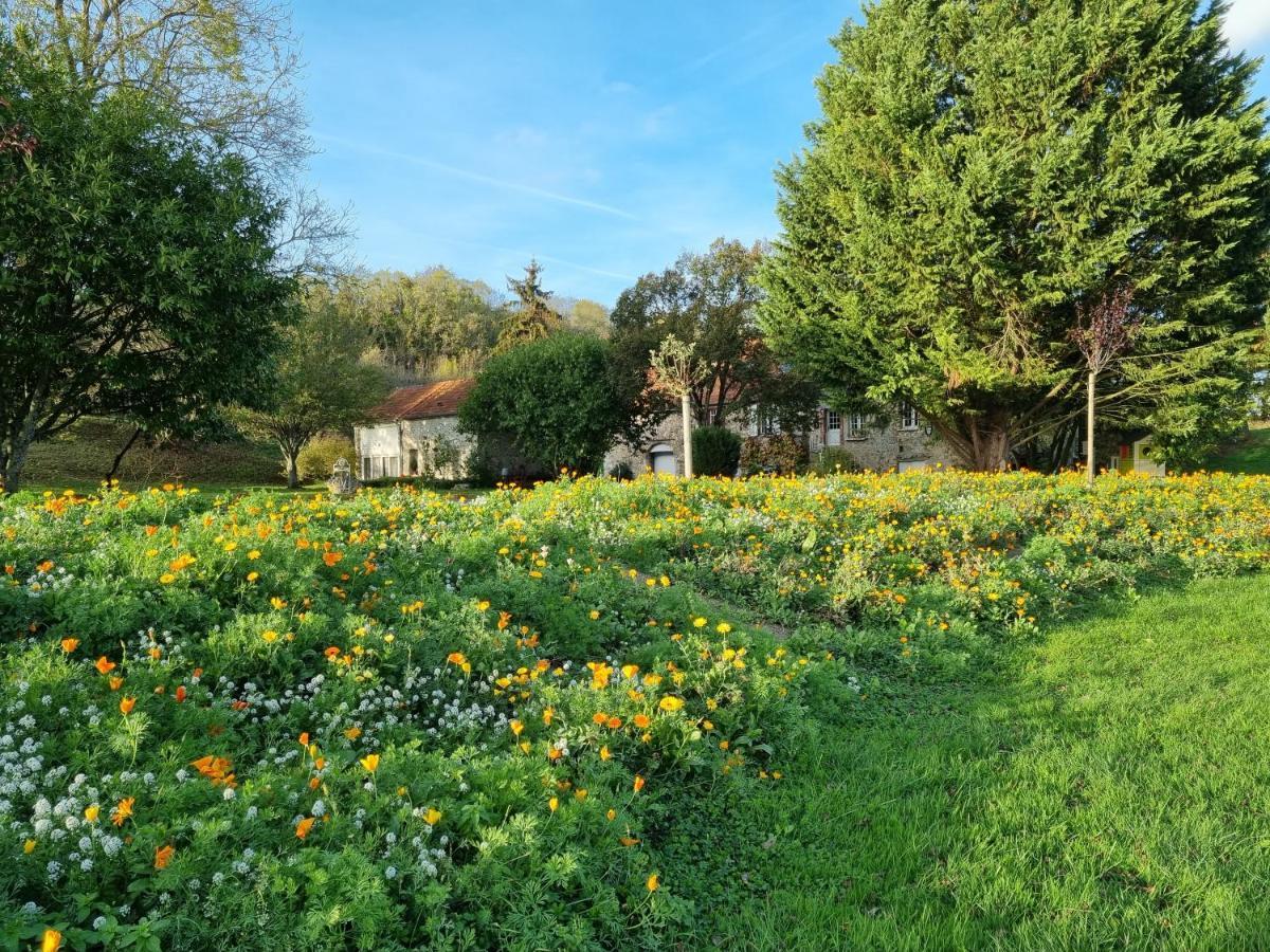 Domaine Du Moulin De L'Etang Bed & Breakfast Châtillon-sur-Marne Exterior photo