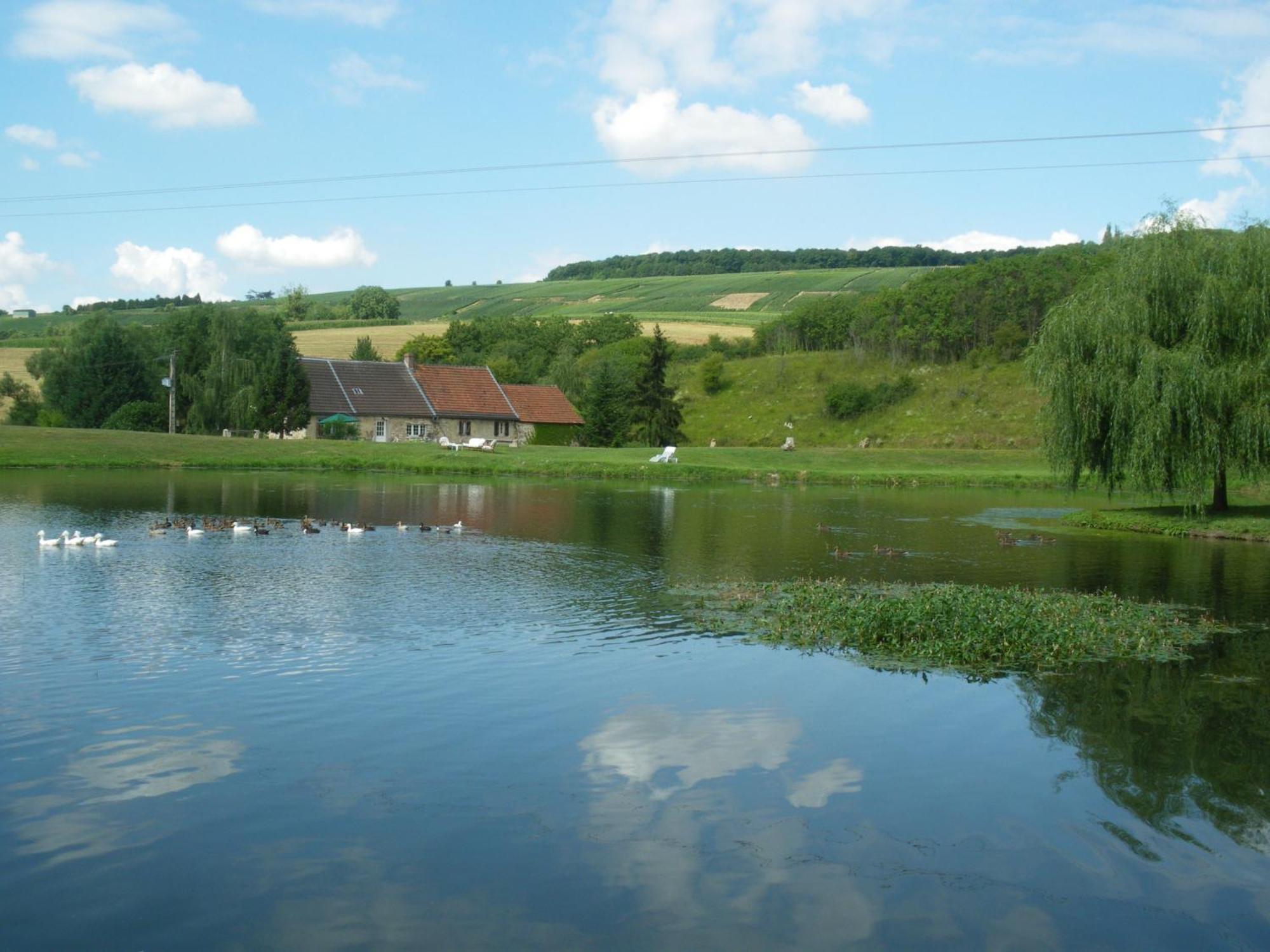 Domaine Du Moulin De L'Etang Bed & Breakfast Châtillon-sur-Marne Exterior photo