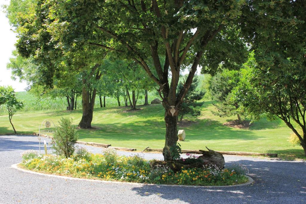 Domaine Du Moulin De L'Etang Bed & Breakfast Châtillon-sur-Marne Exterior photo